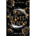 Torn Between Realms