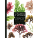 Seaweeds of the World: A Guide to Every Order