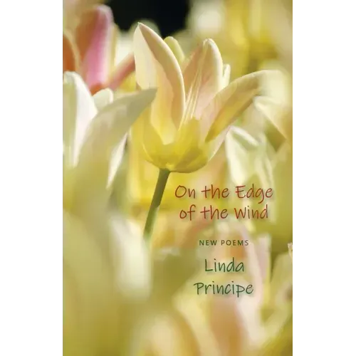 On the Edge of the Wind
