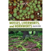 Mosses, Liverworts, and Hornworts: A Field Guide to the Common Bryophytes of the Northeast