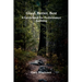 Good, Better, Best: A Guidebook for Performance Auditing