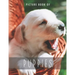 Picture Book of Puppies: for Alzheimer's Patients and Seniors with Dementia.