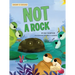 Not a Rock