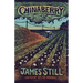 Chinaberry