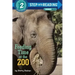 Feeding Time at the Zoo