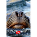 Diver's Log Book: scuba diving log book 100 dives