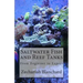 Saltwater Fish and Reef Tanks: From Beginner to Expert