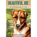 Beautiful Joe