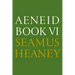 Aeneid Book VI: A New Verse Translation: Bilingual Edition