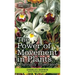 The Power of Movement in Plants: Originally Illustrated