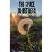 The Space In-between