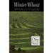 Winter Wheat