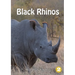 Black Rhinos