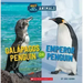 Galapagos Penguin or Emperor Penguin (Wild World: Hot and Cold Animals)