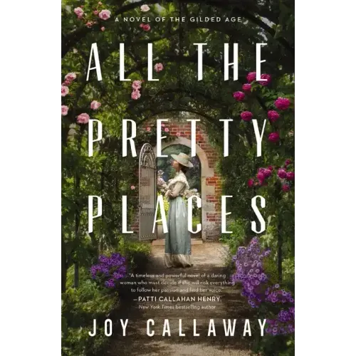 All the Pretty Places: A Novel of the Gilded Age