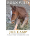 Born Wild - The Soul of a Horse