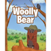 Woolly Bear