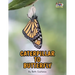 Letter C - Caterpillar to Butterfly for Kids 3-8