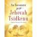 An Encounter With Jehovah Tsidkenu