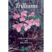 Trilliums