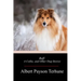Buff: A Collie, and Other Dog-Stories