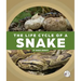 The Life Cycle of a Snake