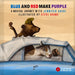 Blue and Red Make Purple: A Musical Journey with Jennifer Gasoi [With Audio CD]
