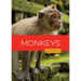 Monkeys