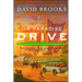 On Paradise Drive: How We Live Now (and Always Have) in the Future Tense