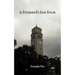 La Universidad En Juego: Ensayos