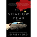 The Shadow Year