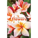 Address Book Flowers