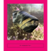 Elemental: Earth Stories