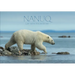 Nanuq: Life with Polar Bears