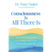 Consciousness Is All There Is: How Understanding and Experiencing Consciousness Will Transform Your Life
