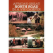 Africa's Great North Road in a VW Camper: Cape Town to Mombasa
