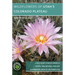 Wildflowers of Utah's Colorado Plateau: A Field Guide to Wildflowers of Capitol Reef National Park and Surrounding Areas of Southern Utah