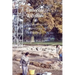 Littlecote, Wiltshire: Archaeological Excavations in the Park