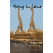 Going In Seine: An Apartment in Paris? A Crazy Idea!