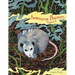 Awesome 'Possum 4