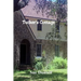 Tucker's Cottage