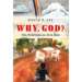 Why, God? His Purposes in Our Pain