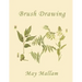 Brush Drawing as Applied to Natural Forms and Common Objects (Yesterday's Classics)