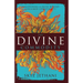 The Divine Commodity: Discovering a Faith Beyond Consumer Christianity
