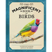 The Magnificent Book of Birds
