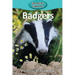 Badgers