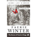 Faerie Winter: Book 2 of the Bones of Faerie Trilogy