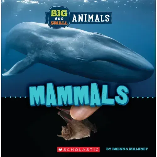 Mammals (Wild World: Big and Small Animals)