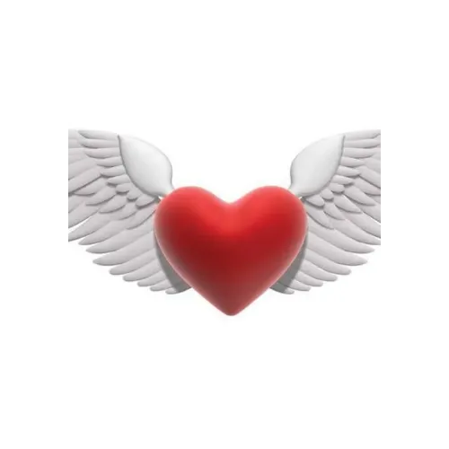 Poemario "De Las Alas del Corazón"
