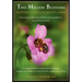 Two Million Blossoms: Discovering the Medicinal Benefits of Honey